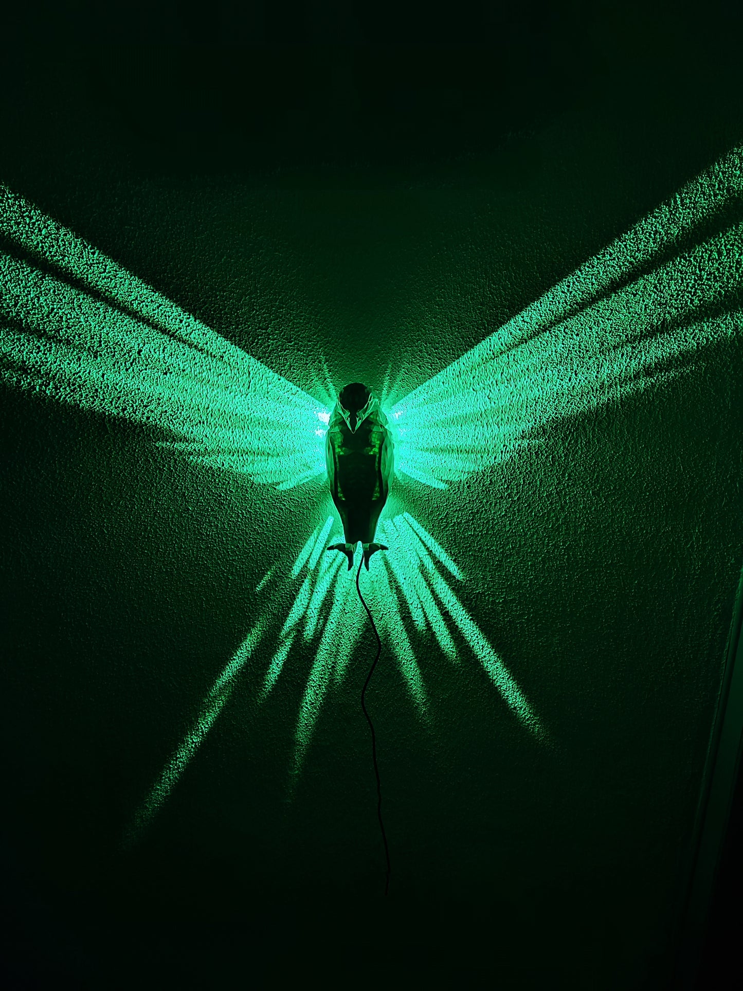 Flügel des Lichts – 3D-Wandlampe "Adler“