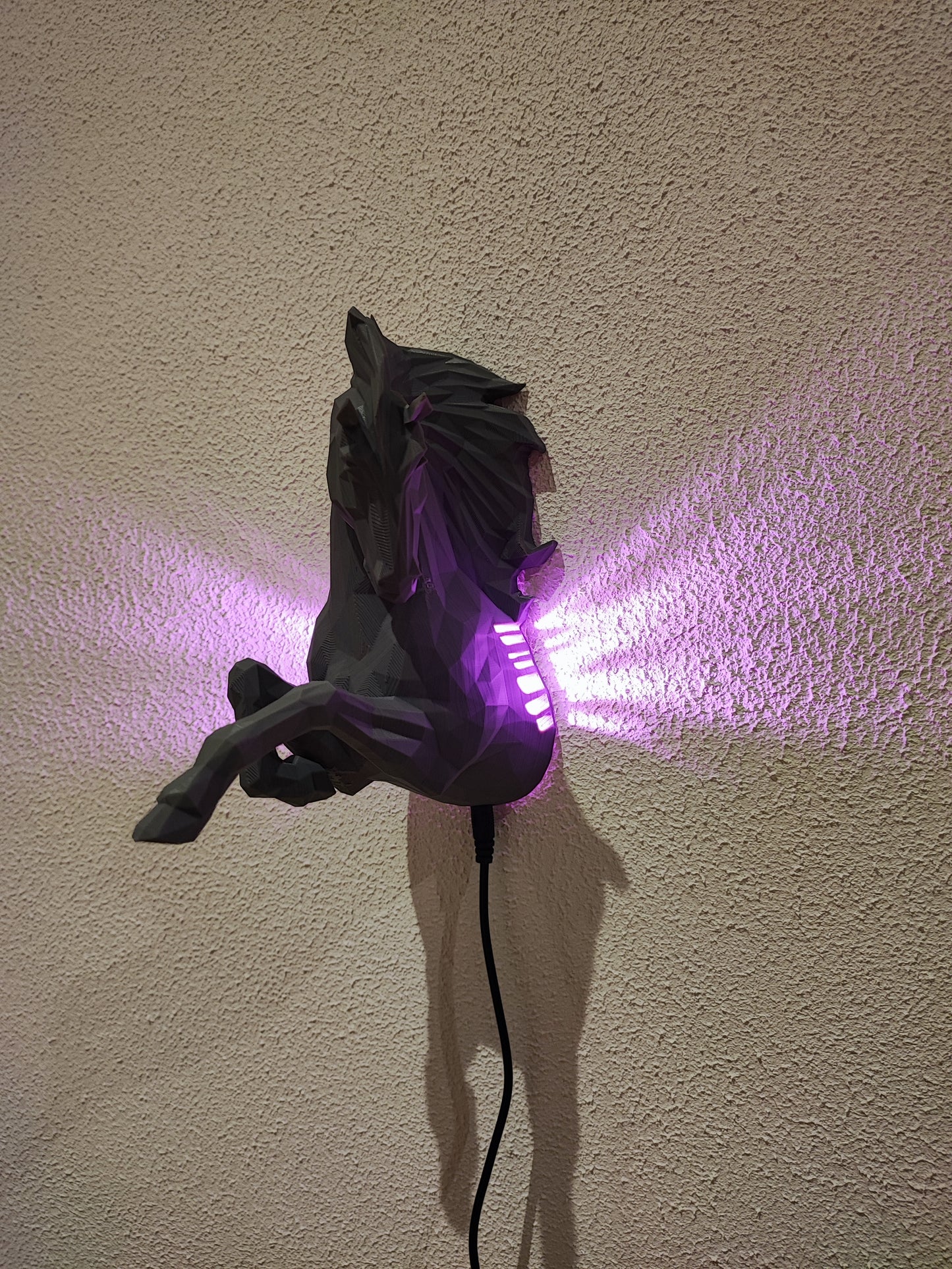 Ritt des Lichts – 3D-Wandlampe "Pferd“